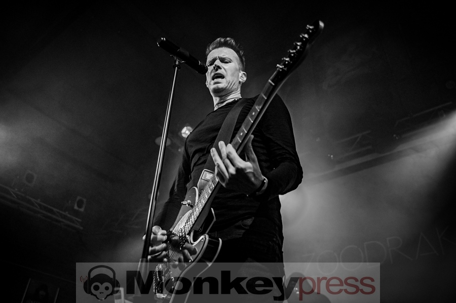 Zoodrake, © Kirsten Nagel