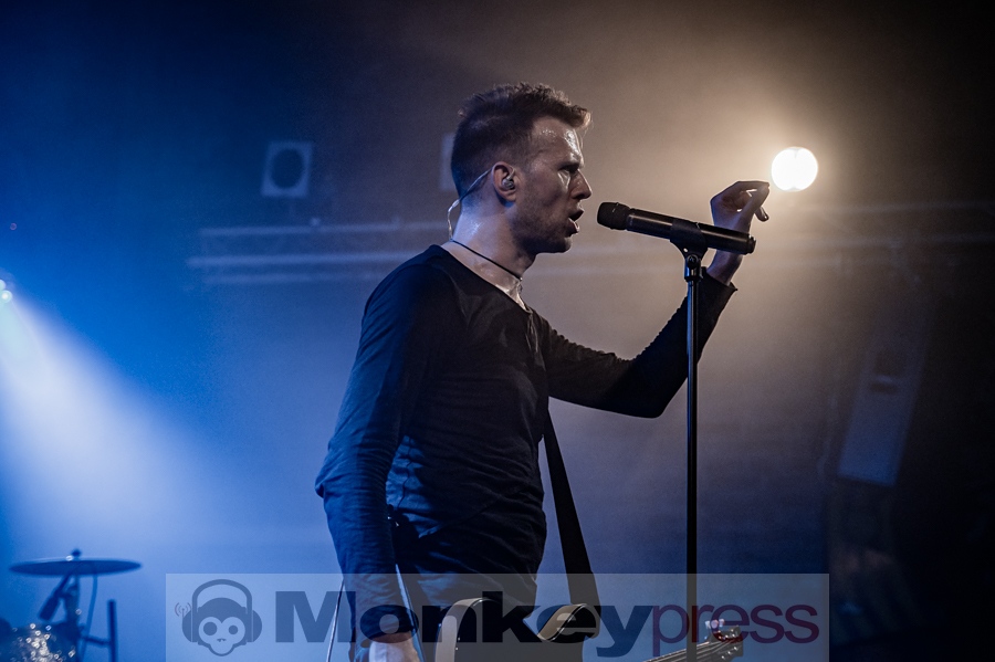 Zoodrake, © Kirsten Nagel