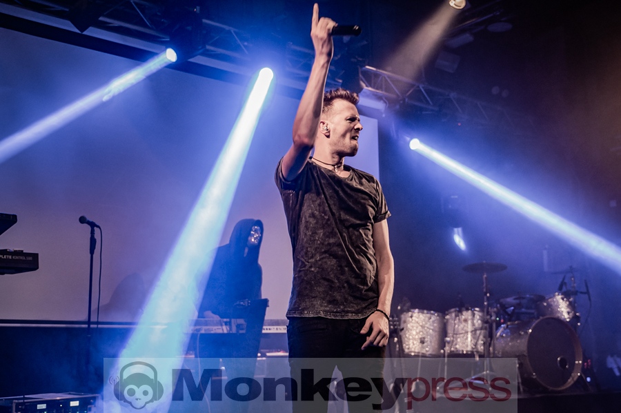 Zoodrake, © Kirsten Nagel