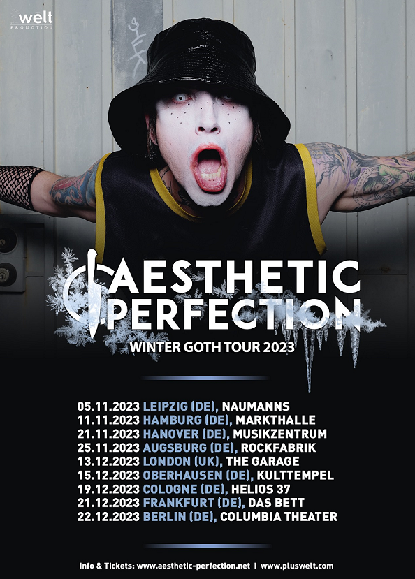AESTHETIC PERFECTION - Winter Goth Tour + finale Christmas Party