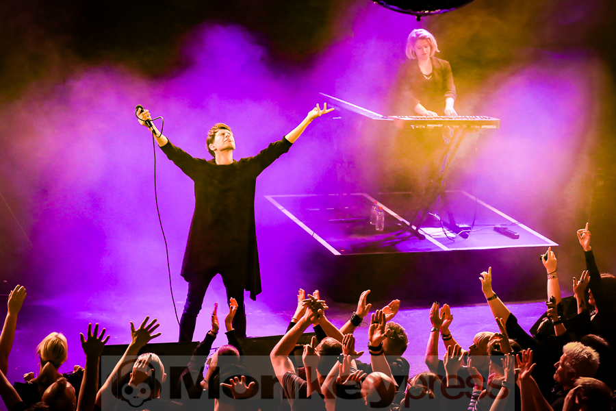 Empathy Test, © Michael Gamon