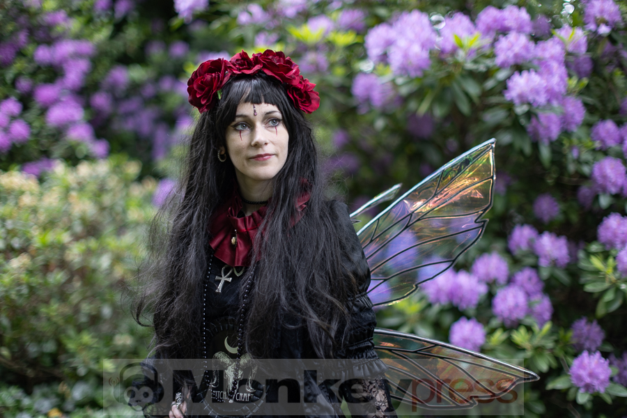 Viktorianisches Picknick, © Thomas Bunge Viktorianisches Picknick, © Thomas Bunge