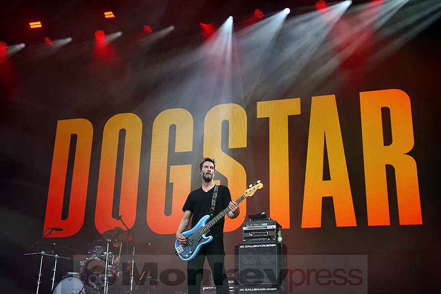 Dogstar © Sandro Griesbach