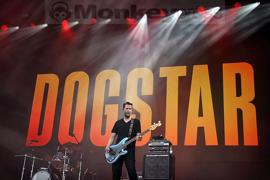 Dogstar © Sandro Griesbach