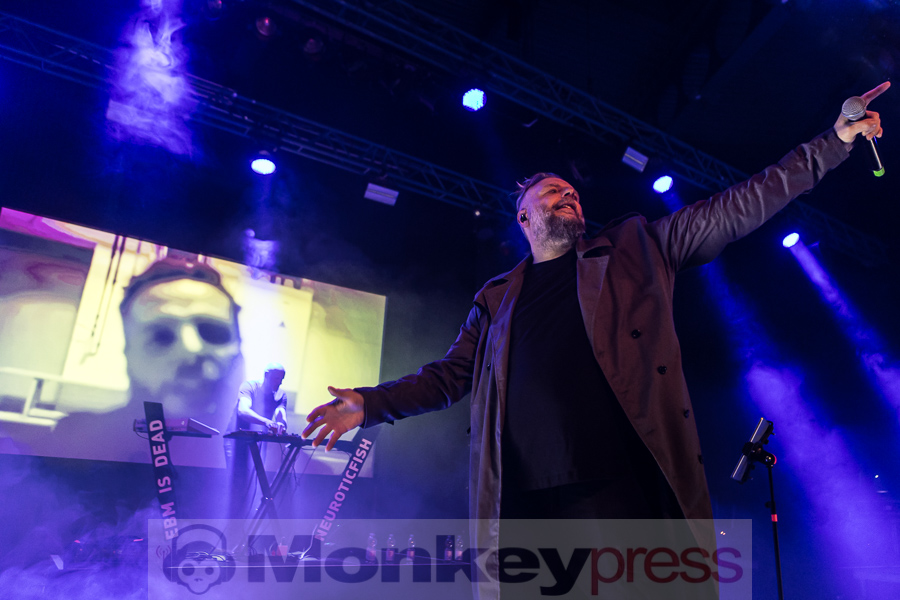 Neuroticfish, © Peter Bernsmann