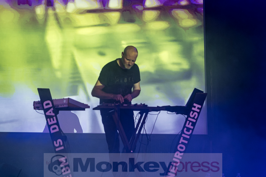 Neuroticfish, © Peter Bernsmann