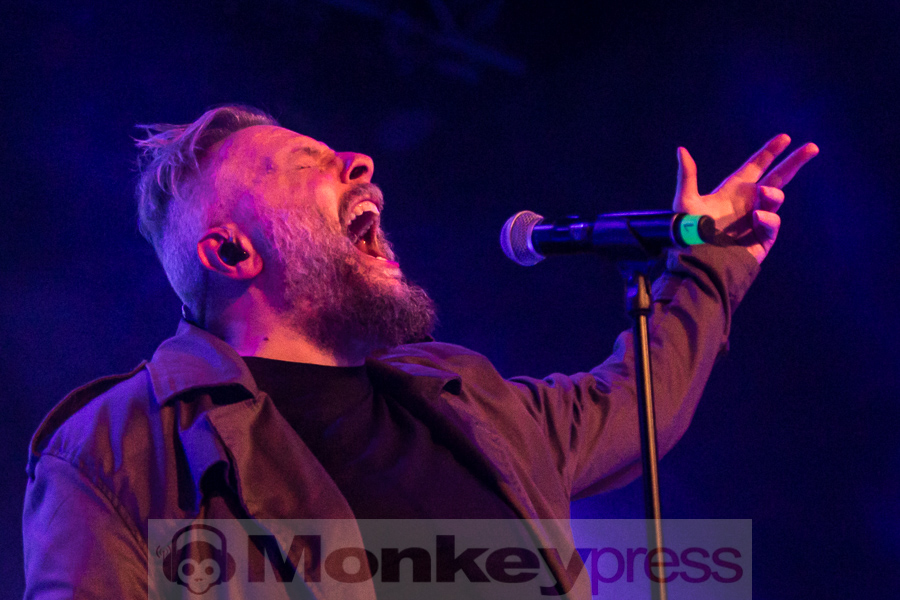 Neuroticfish, © Peter Bernsmann