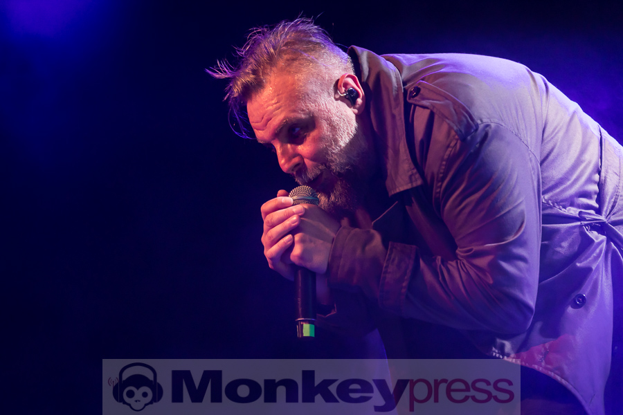 Neuroticfish, © Peter Bernsmann