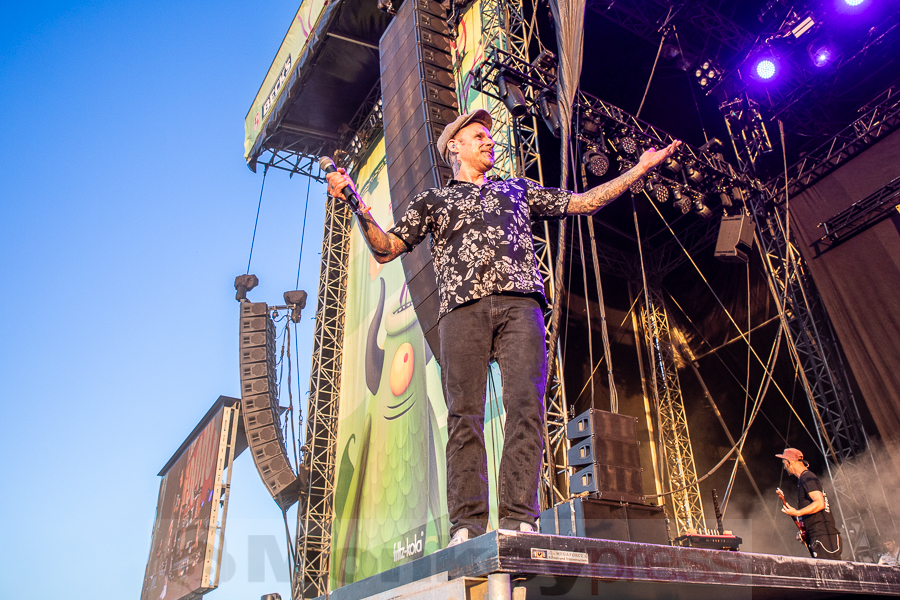 Donots, © Joerg Seiche