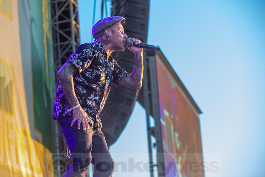 Donots, © Joerg Seiche