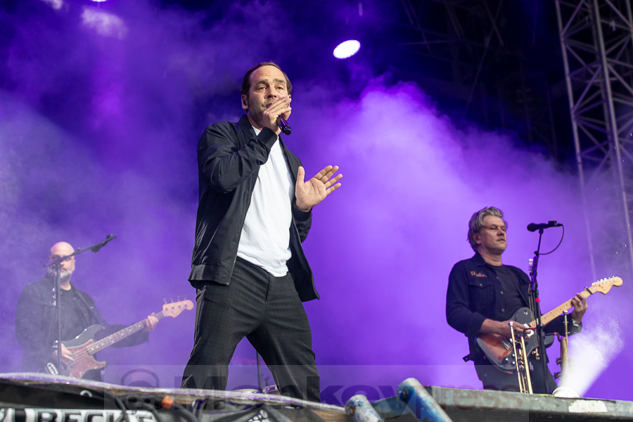 Bosse, © Joerg Seiche Bosse, © Joerg Seiche