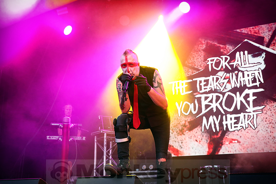 Suicide Commando - M'era Luna © Sandro Griesbach