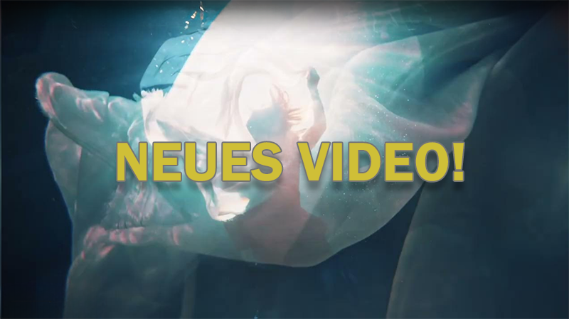 THE BEAUTY OF GEMINA: "Symphony Of Solitude" – Ein Vorgeschmack auf das neue Album "Songs Of Homecoming" THE BEAUTY OF GEMINA: "Symphony Of Solitude" – Ein Vorgeschmack auf das neue Album "Songs Of Homecoming"