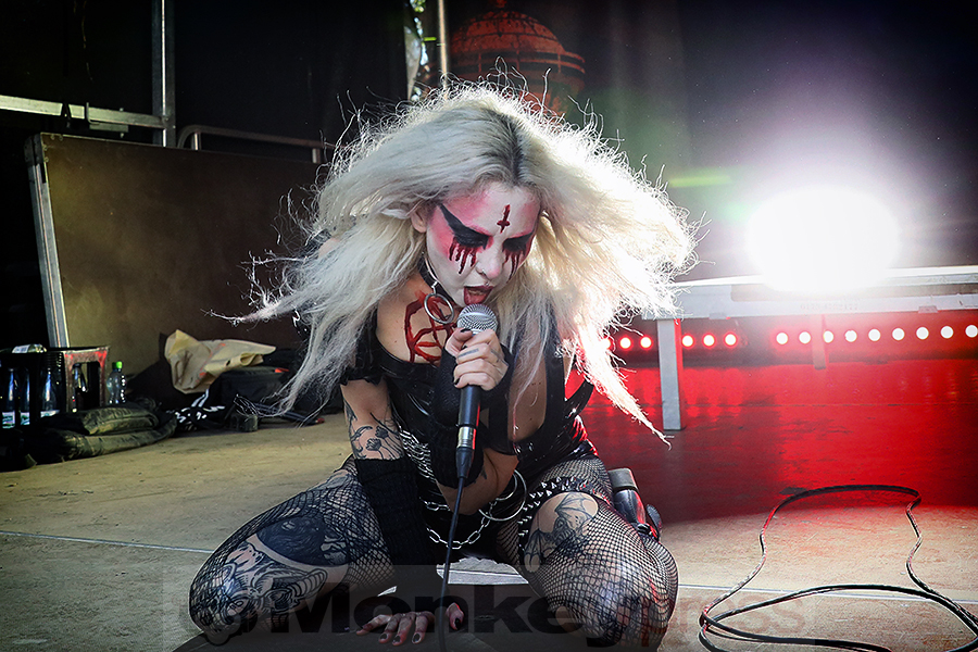 Aux Animaux © Sandro Griesbach