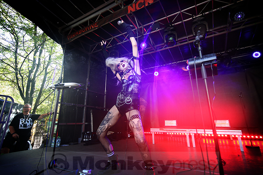 Aux Animaux © Sandro Griesbach