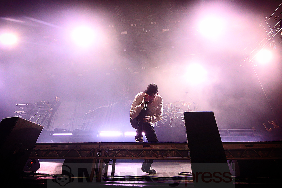 In Flames © Sandro Griesbach
