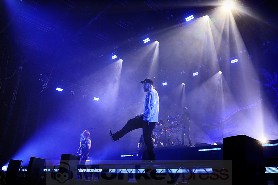 In Flames © Sandro Griesbach