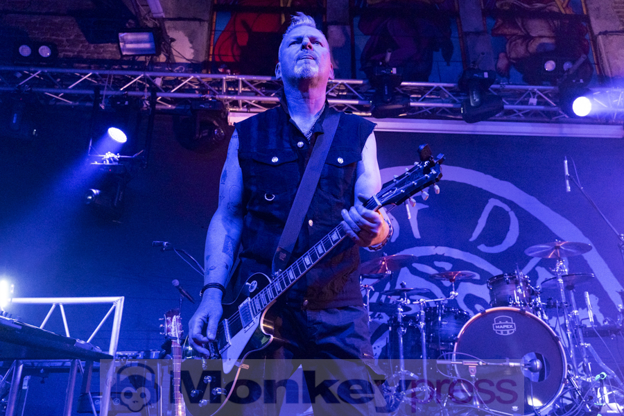 Rotoskop, © Angela Trabert