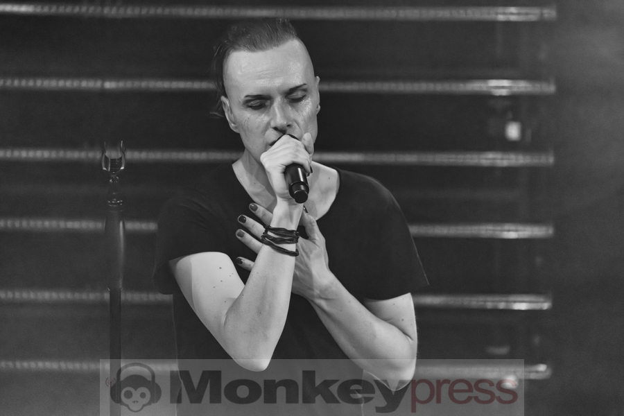 Solar Fake, © Angela Trabert