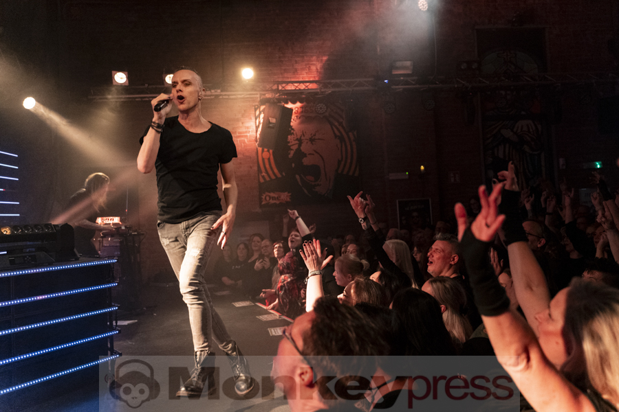 Solar Fake, © Angela Trabert