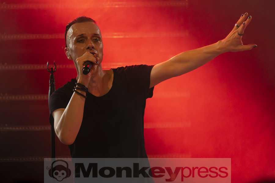 Solar Fake, © Angela Trabert