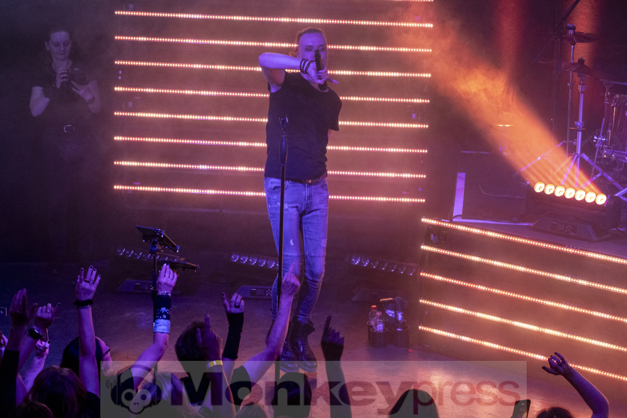 Solar Fake, © Angela Trabert