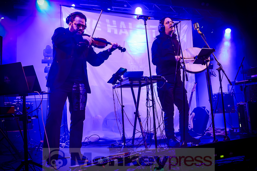 The Halo Trees, © Michael Gamon