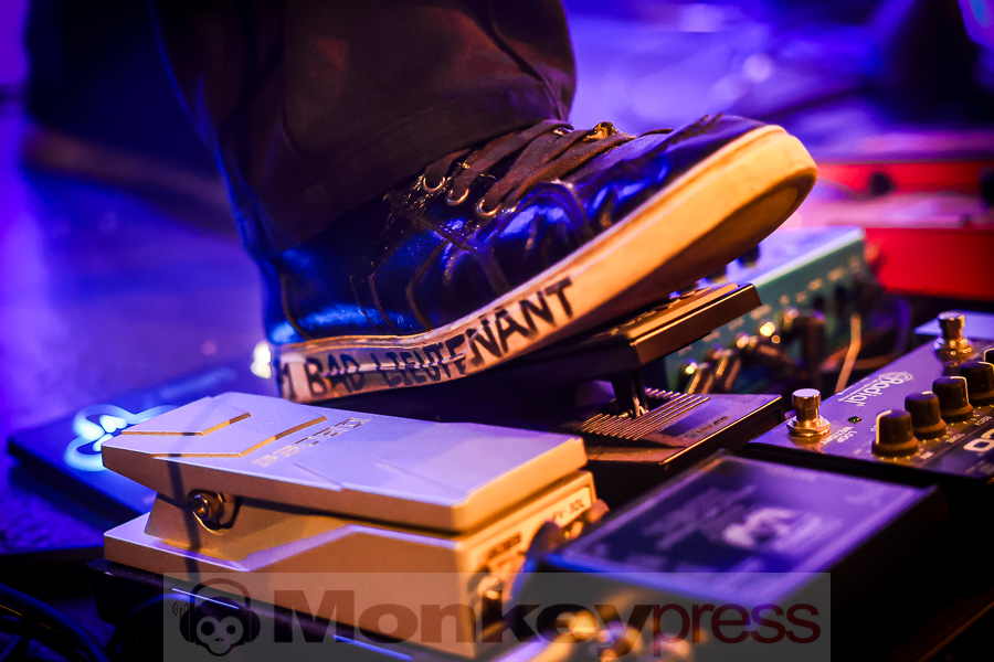 The Halo Trees, © Michael Gamon