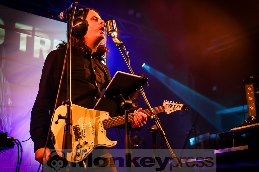 The Halo Trees, © Michael Gamon