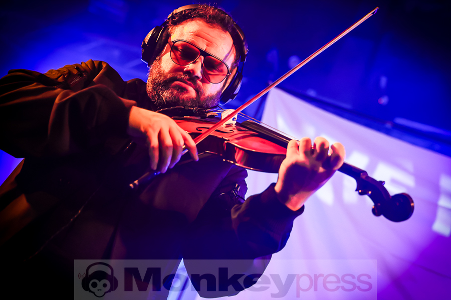 The Halo Trees, © Michael Gamon