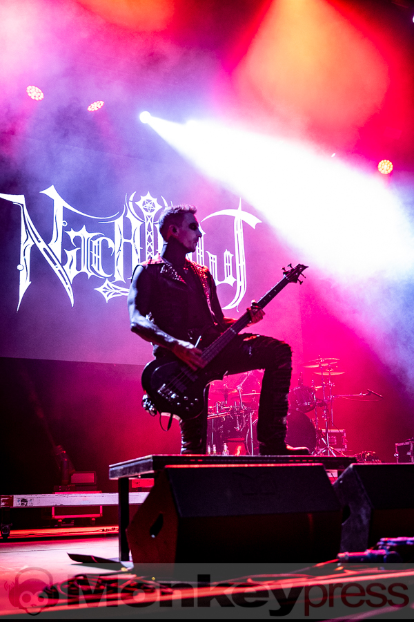 Nachtblut, © Thomas Bunge