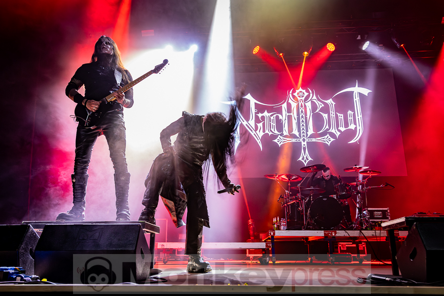 Nachtblut, © Thomas Bunge