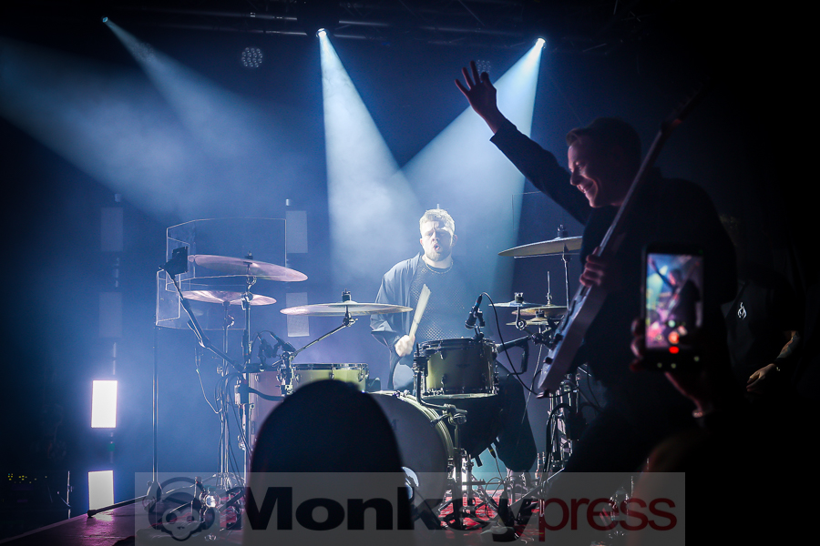 Siamese, © Michael Gamon