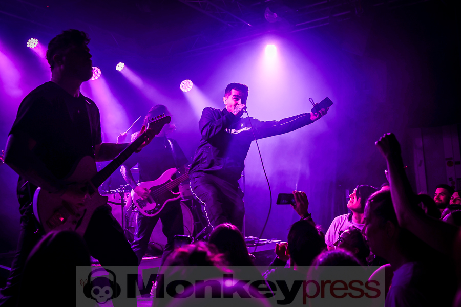 Siamese, © Michael Gamon