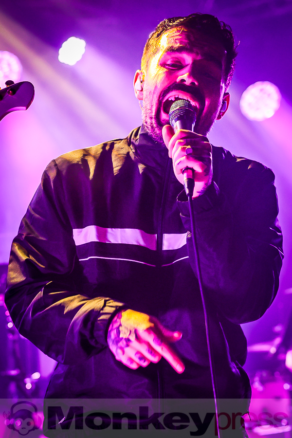 Siamese, © Michael Gamon