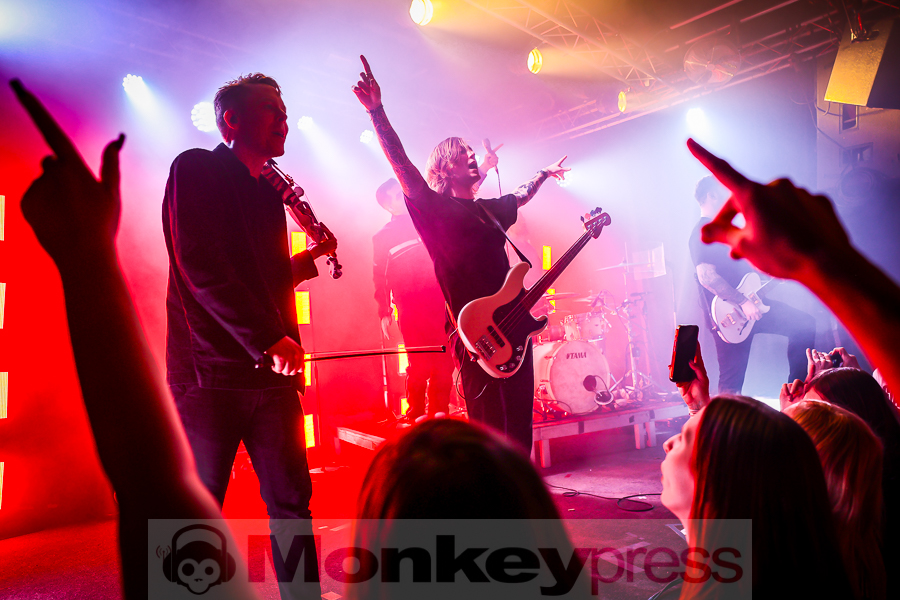 Siamese, © Michael Gamon