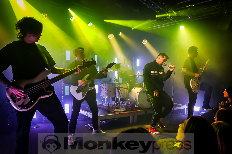 Siamese, © Michael Gamon