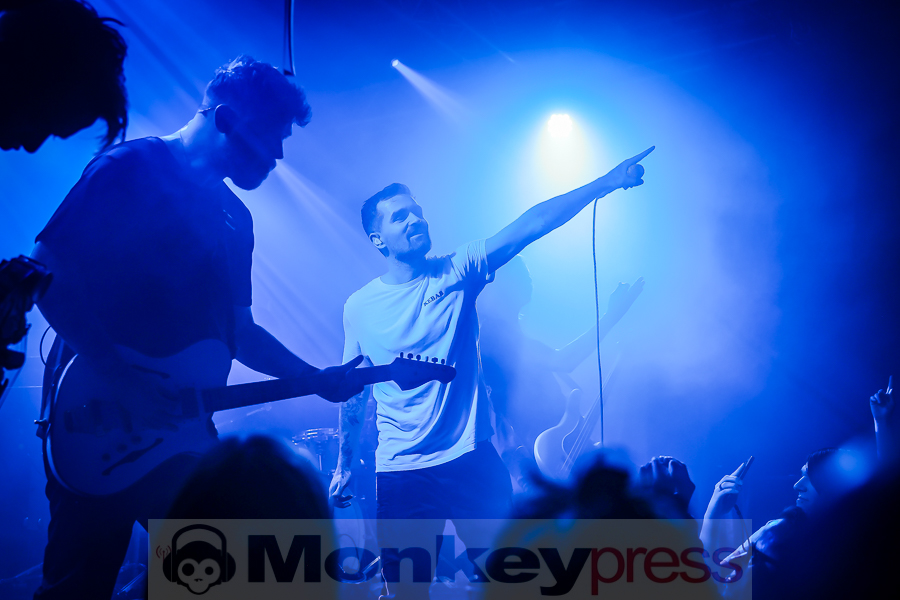 Siamese, © Michael Gamon