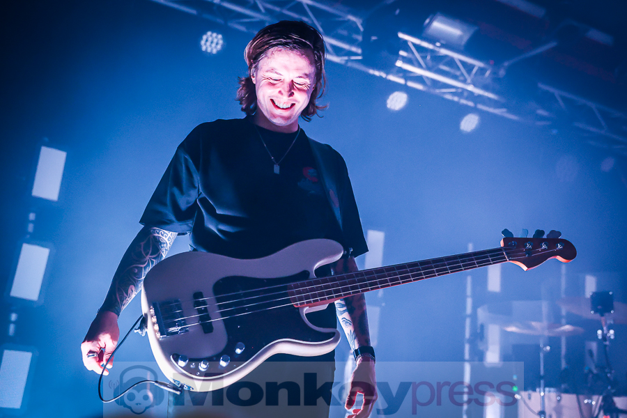 Siamese, © Michael Gamon