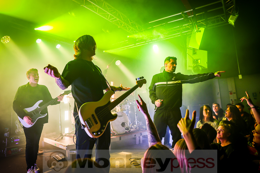 Fotos: SIAMESE Fotos: SIAMESE