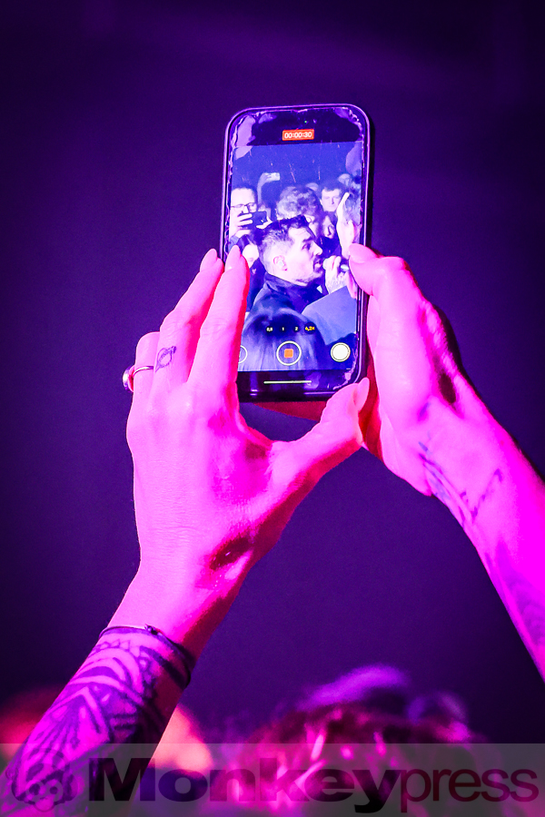 Siamese, © Michael Gamon