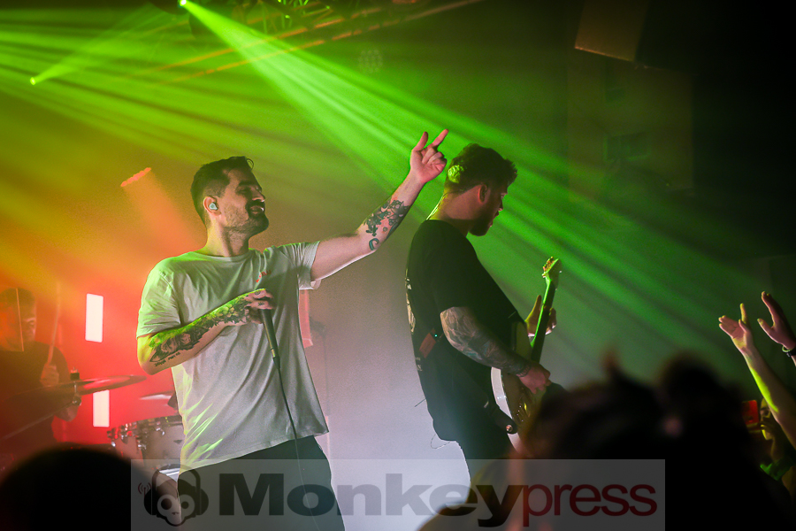 Siamese, © Michael Gamon