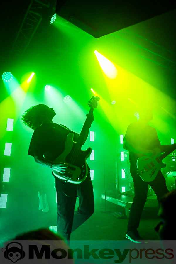 Siamese, © Michael Gamon