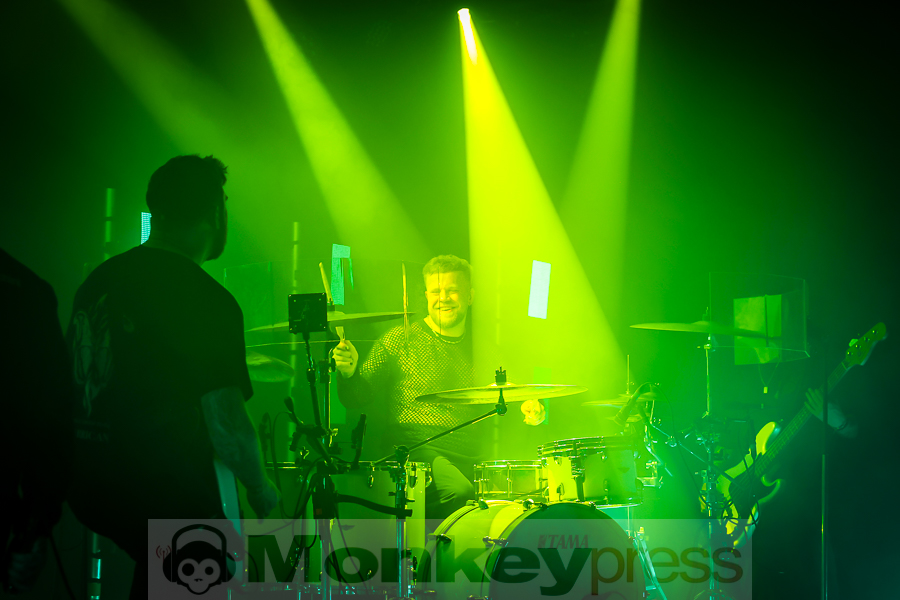 Siamese, © Michael Gamon