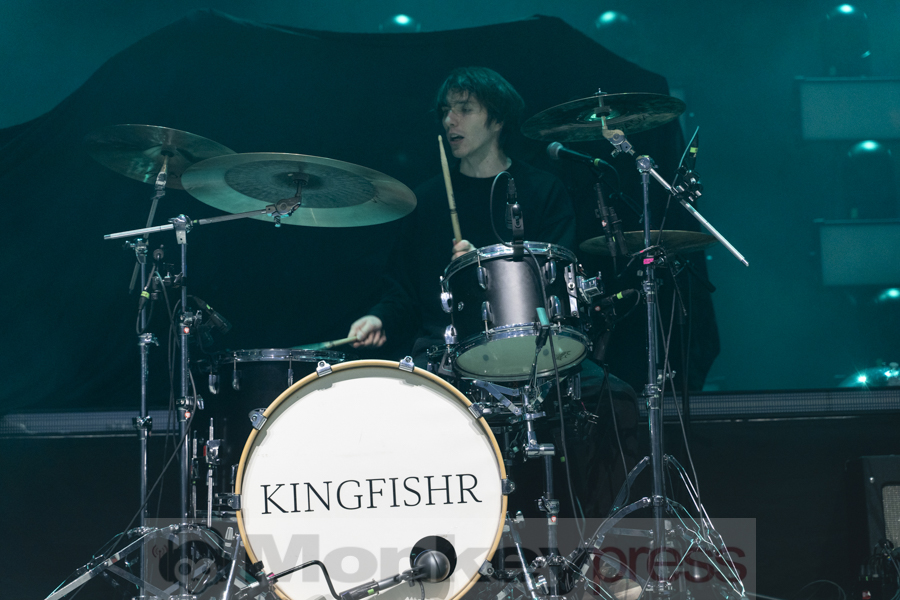 KINGFISHR, © Angela Trabert