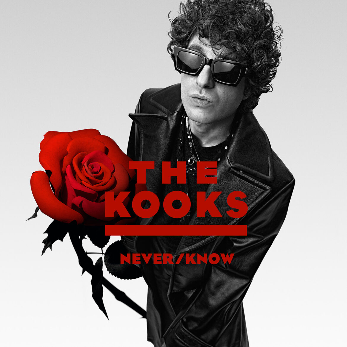 THE KOOKS kündigen neues Album "Never/Know" an