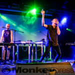 Fotos: WHOLE