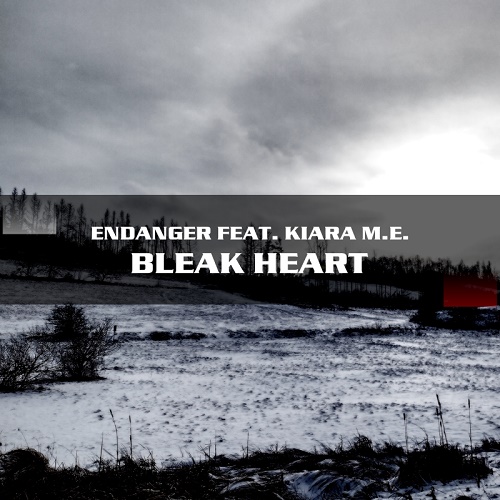 Zwischen Melancholie und Club-Feeling: ENDANGER und KIARA M.E. mit neuer Single „Bleak Heart“