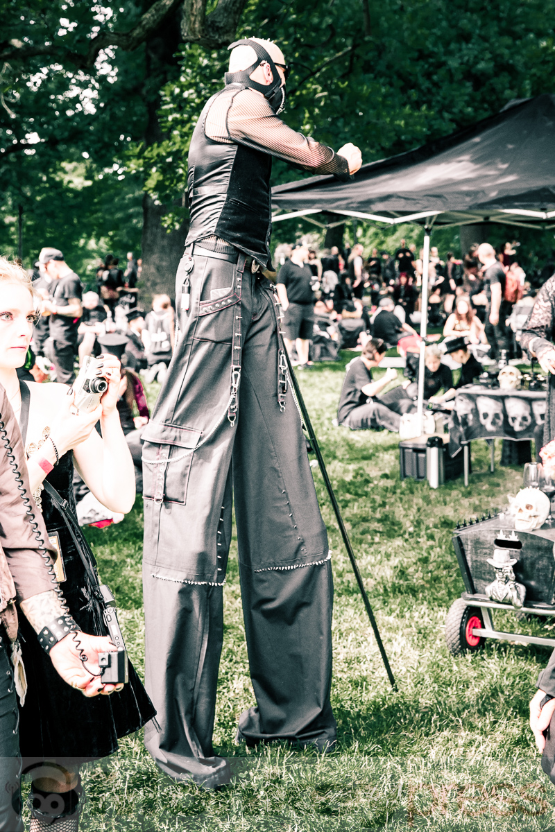 Viktorianisches Picknick, © Danny Sotzny