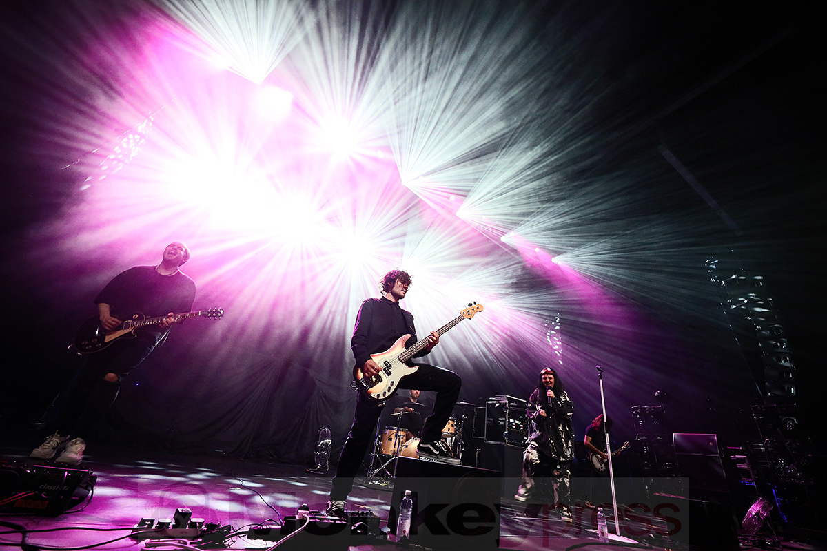 Tigress © Sandro Griesbach